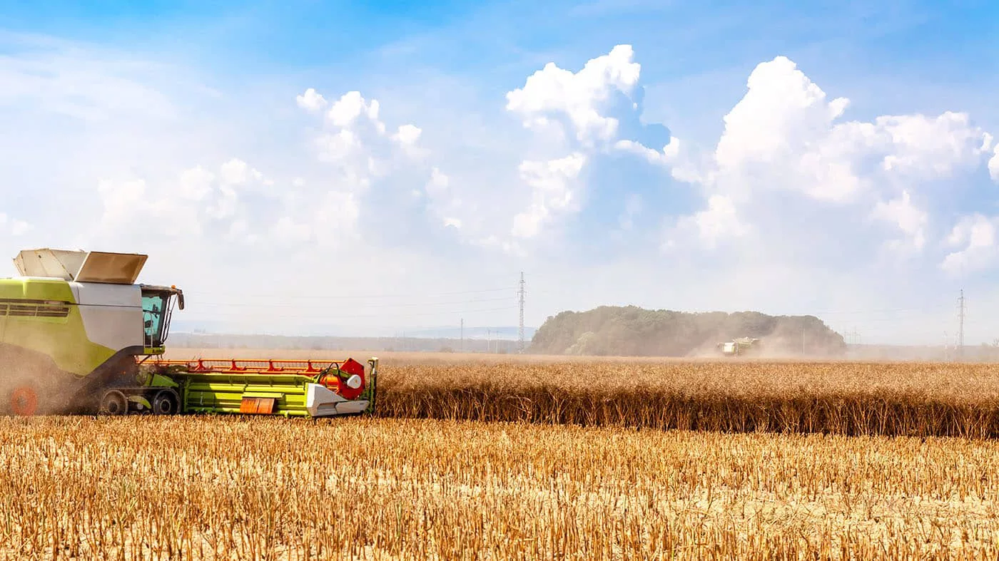 Урожайности 15 центнеров зерновых с гектара намерены достичь в ВКО