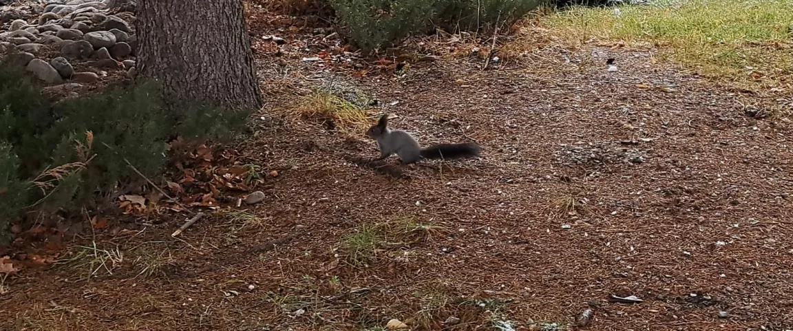 Фото: Анжелика Фёдорова