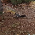 Фото: Анжелика Фёдорова