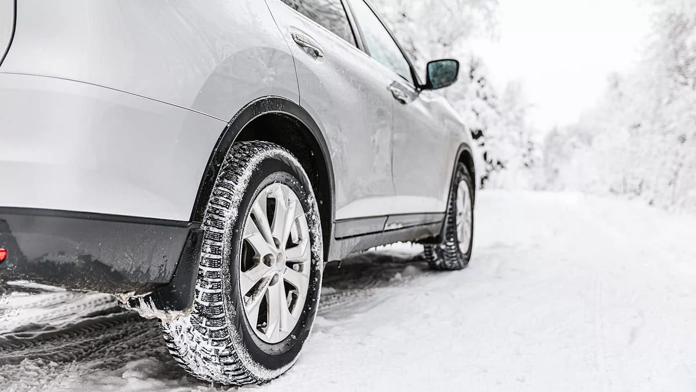 В ВКО легализовали почти 7 тысяч автомобилей и еще более тысячи поставили на временный учет