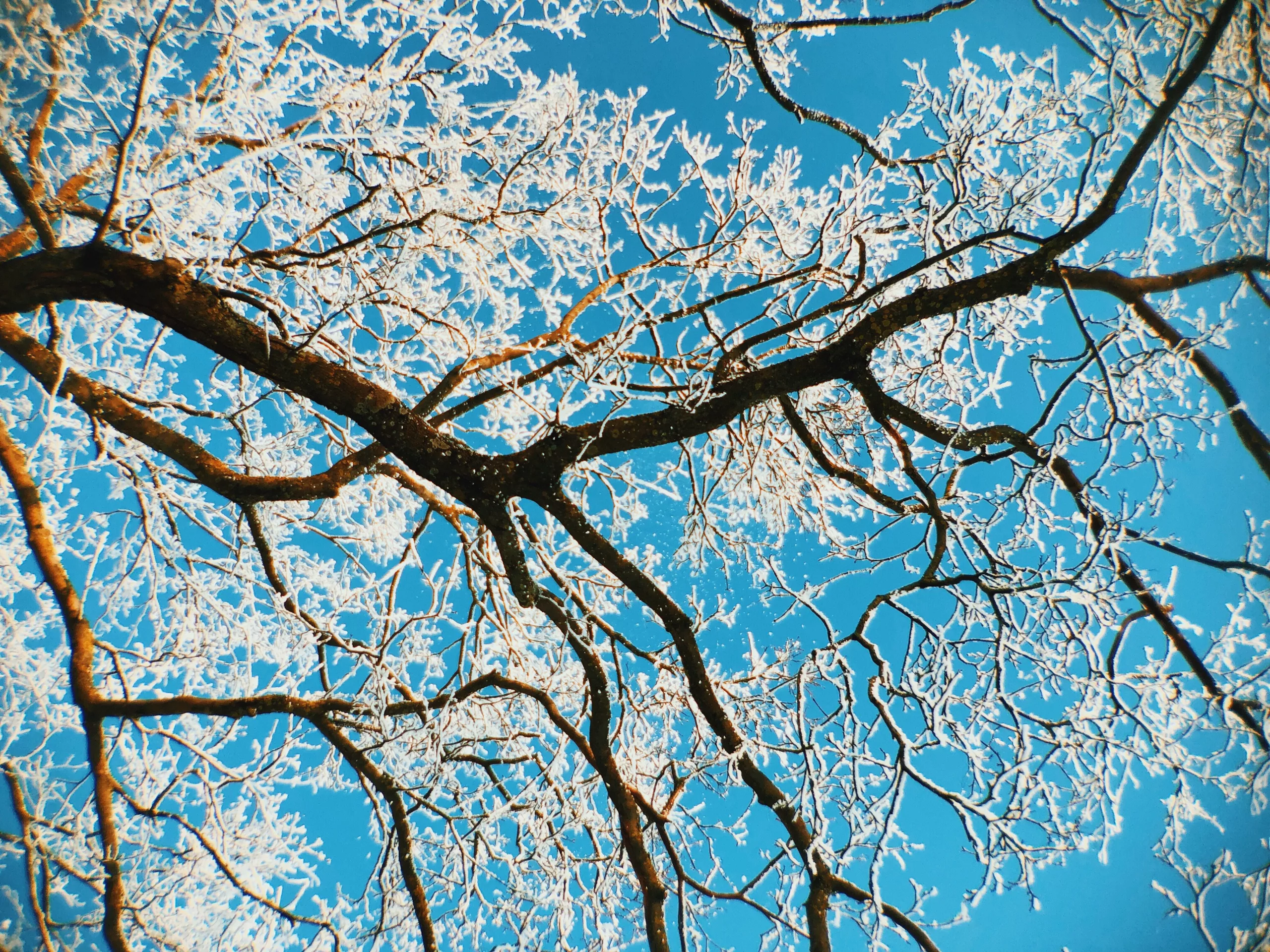 В ВКО ожидаются осадки и плюсовая температура