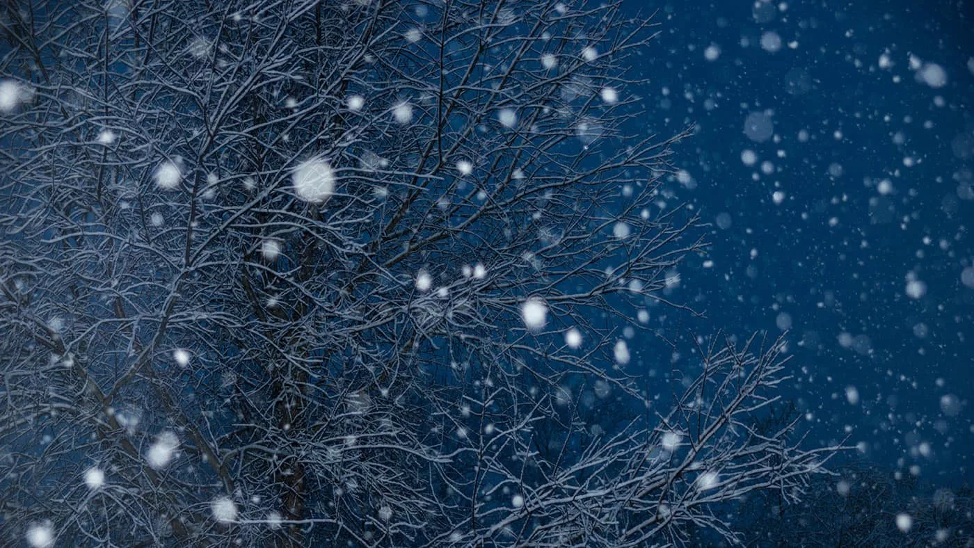 В ВКО придут снегопады