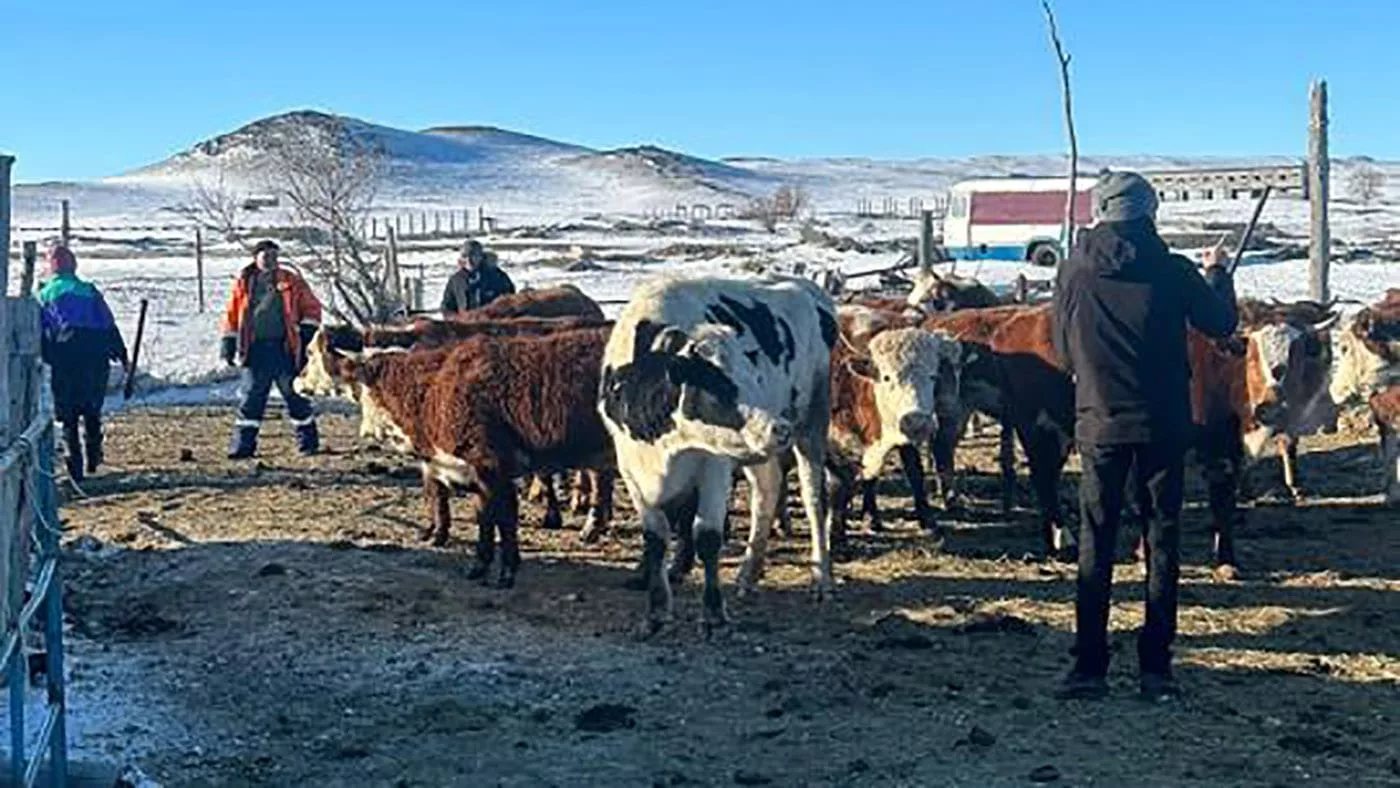 20 проектов по программе «Ауыл Аманатты» реализуются в Уланском районе ВКО