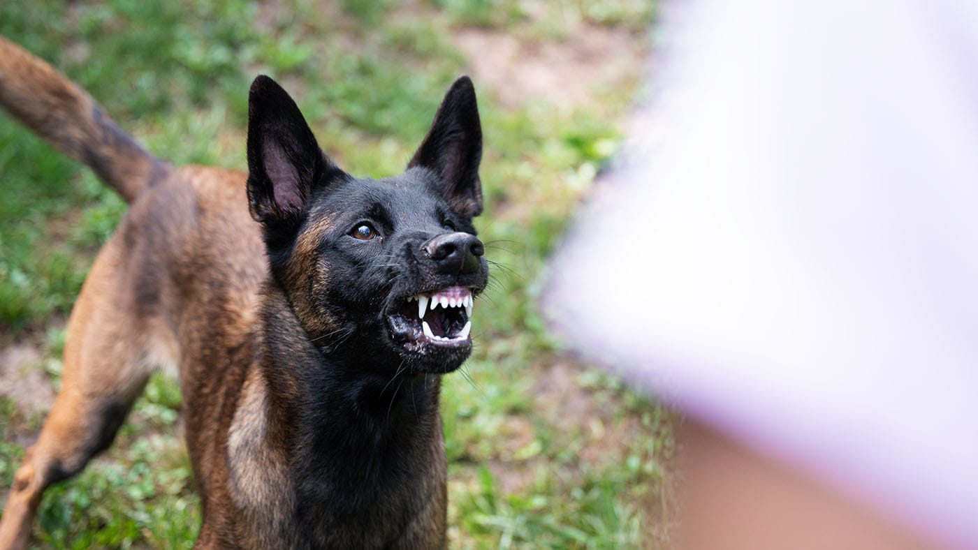Көркем фильмдердегі эротикалық порно