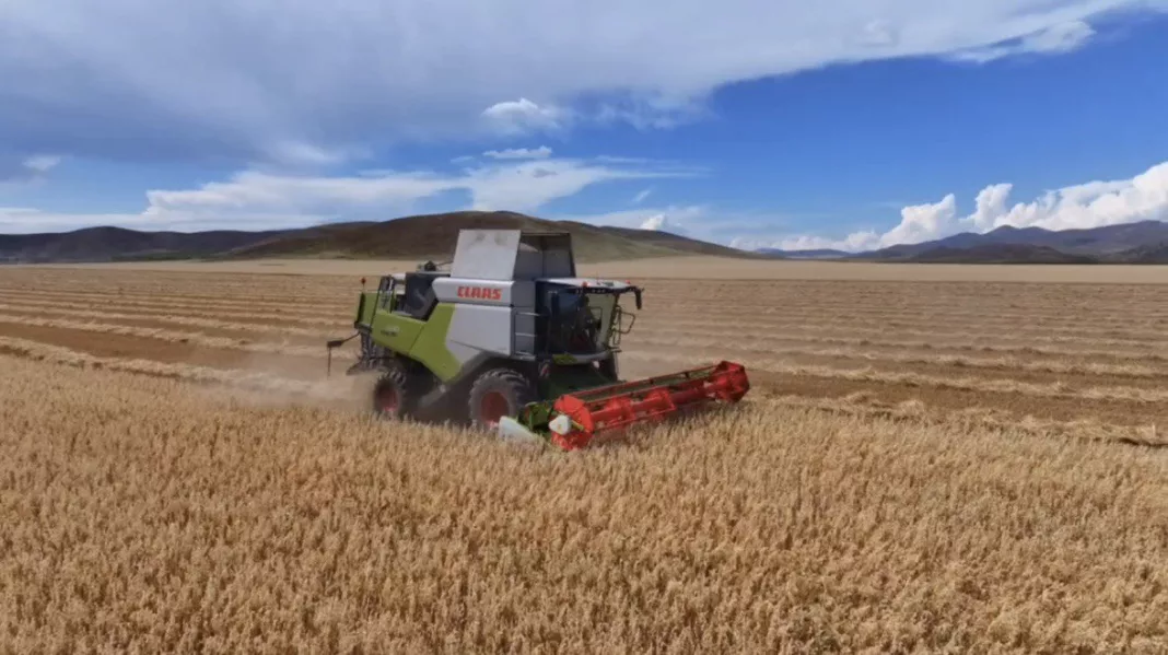 photo_2025-12-30_14-07-27